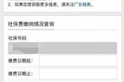 怎么查社保？手把手教你避坑，别再白跑一趟了！