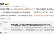 度小满金融逾期1年，我的征信会彻底黑了吗？