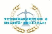 支付宝网商贷逾期两年，会坐牢吗？律师教你正确应对！