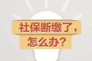 养老保险怎么交？断缴了怎么办？一次性讲清你的养老钱袋子