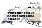 贷款逾期被暴力催收，太吓人了！我们能怎么办？