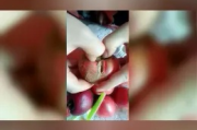 别急，咱们一句一句，掰开揉碎了说