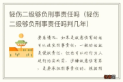 轻伤二级到底算多严重？坐牢、缓刑、不起诉，到底哪条路能走通？