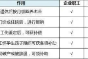 单位交社保怎么交？流程不清别慌，一文讲透操作门道！