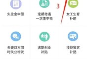 失业保险怎么查询？手把手教你快速查清自己的权益！