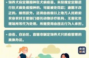 小狗轻伤怎么处理才妥当？万一涉及他人责任又该如何应对？