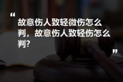 故意伤人致轻伤，会怎么判？能私了吗？