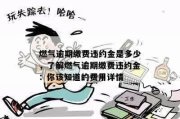 燃气费怎么交？交晚了被断气、多收滞纳金，谁来担责？