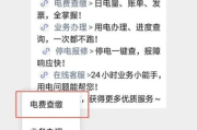怎么查电费余额？忘缴被停电了怎么办？