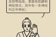一、你以为的公民，可能只摸到了边角