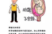 未婚先孕怎么办？别慌！这5个法律常识帮你稳住局面