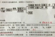 准生证怎么办？没办会怎样？一文讲清流程+避坑指南