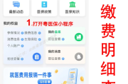 怎么查自己的医疗保险？信息看不懂怎么办？