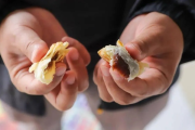 它具体能做什么？我给你掰开揉碎了说—