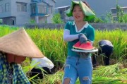 你是不是也见过这样的场景？
