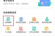 手机上怎么交社保？操作失误钱没到账怎么办？