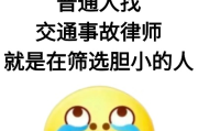 —一位交通律师的实话实说
