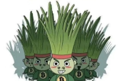 投资到底在投什么？钱一扔进去就没了，算不算被割韭菜？