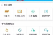 怎么查社保余额？一不小心漏缴了怎么办？