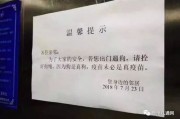 狗证怎么办？没办被罚了咋补救？一文讲清养狗合法的通关秘籍