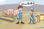 两会不是开会凑热闹？普通人到底该关心啥、能干点啥？