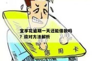 年费逾期哪里查？逾期后果如何应对？