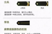 一毛一是啥军衔？别急着刷短视频，先搞清这仨字背后的真实分量！