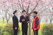 —一位劳动律师的春日手记