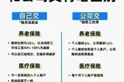 个人怎么交社保？断缴了还能补吗？一文讲透自由职业者的隐形保障