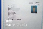 学历证明到底算啥？丢了、造假、被拒用…谁在替你做主？