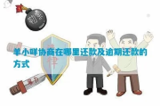 羊小咩信用贷款逾期了？催收上门怎么办？律师教你应对策略
