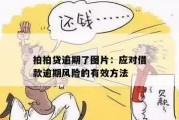 贷款逾期催收有哪些不足？如何应对潜在风险？