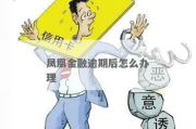 凤凰金融逾期了怎么办？维权指南全解析