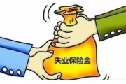失业保险怎么交？单位不给缴怎么办？一文说透你的权益底线！