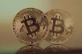 股份到底是什么意思？一文读懂股份的法律内涵与商业价值