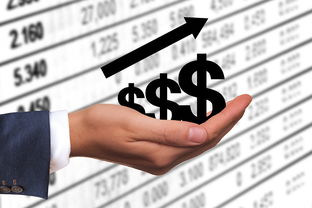 逾期1年，你的信用还剩下什么？万惠金融逾期背后的法律警示与情感救赎
