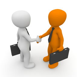 郑州社保可以不交医保么？揭秘背后的法律真相！