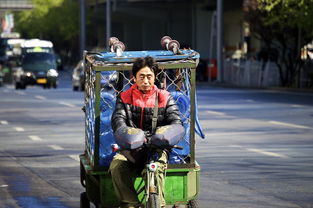 遇到交通事故怎么办