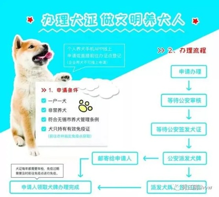 不办狗证会怎样？小心这些法律风险让你措手不及！