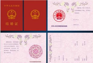 离婚后到底多久，才能再办结婚证呀？