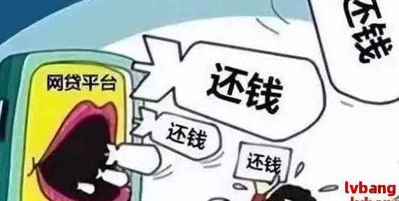 网贷欠太多，被好几家起诉了，我该咋办啊？