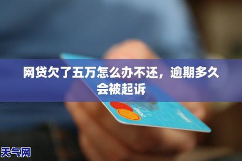 网贷逾期被起诉开庭了，我该怎么办？