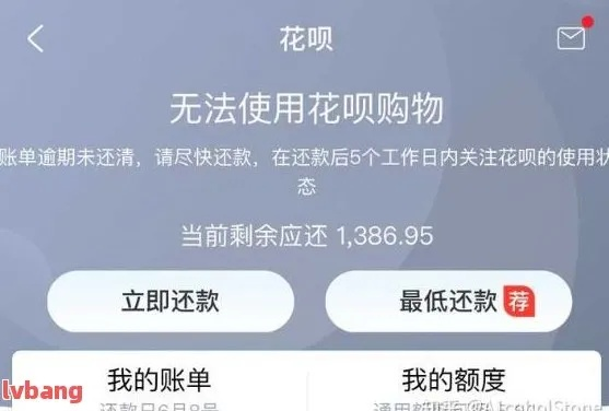 花呗逾期1年之后还款，你的信用和钱包还好吗？