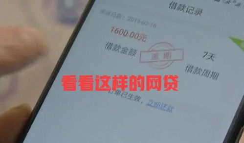 网贷逾期被起诉到法院了，我该怎么办？