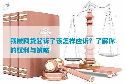 被网贷坑了？别慌！手把手教你怎么起诉维权
