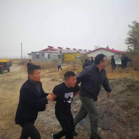 55岁还没交社保？别急，律师教你如何巧妙应对！