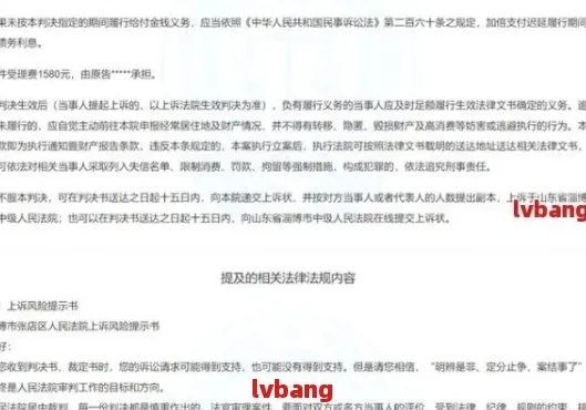 网贷还不上被起诉，判决后要执行了，我该怎么办？