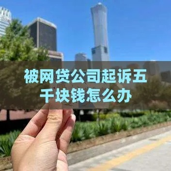 网贷五千块被起诉了，我该咋办啊？