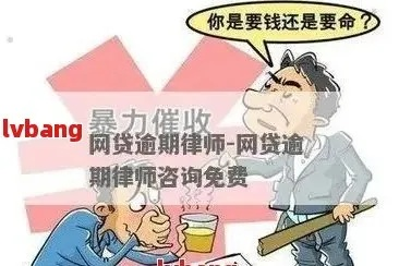 负债人网贷逾期怎么办啊？别慌，律师教你几招！