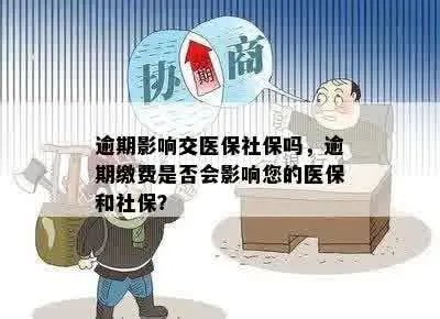 社保不交多久会过期？别让您的权益悄悄溜走！